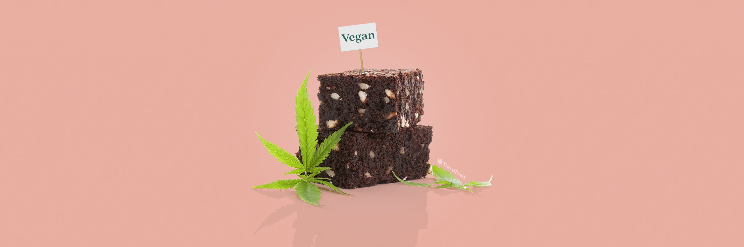 Vegan Cannabis Brownies with Oil - WeedFeed